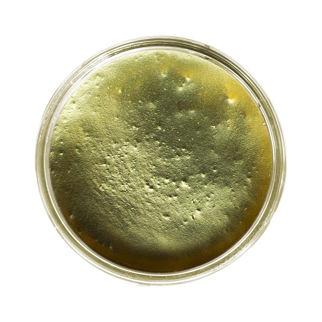 resi-TINT MAX Pearlescent Pigment Pastes in 14 Colors 