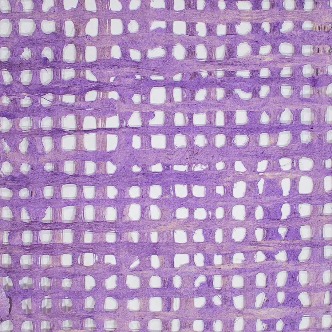 Perforado Paper Lilac
